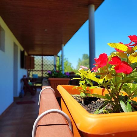 Apartman Dunav Almás Kültér fotó