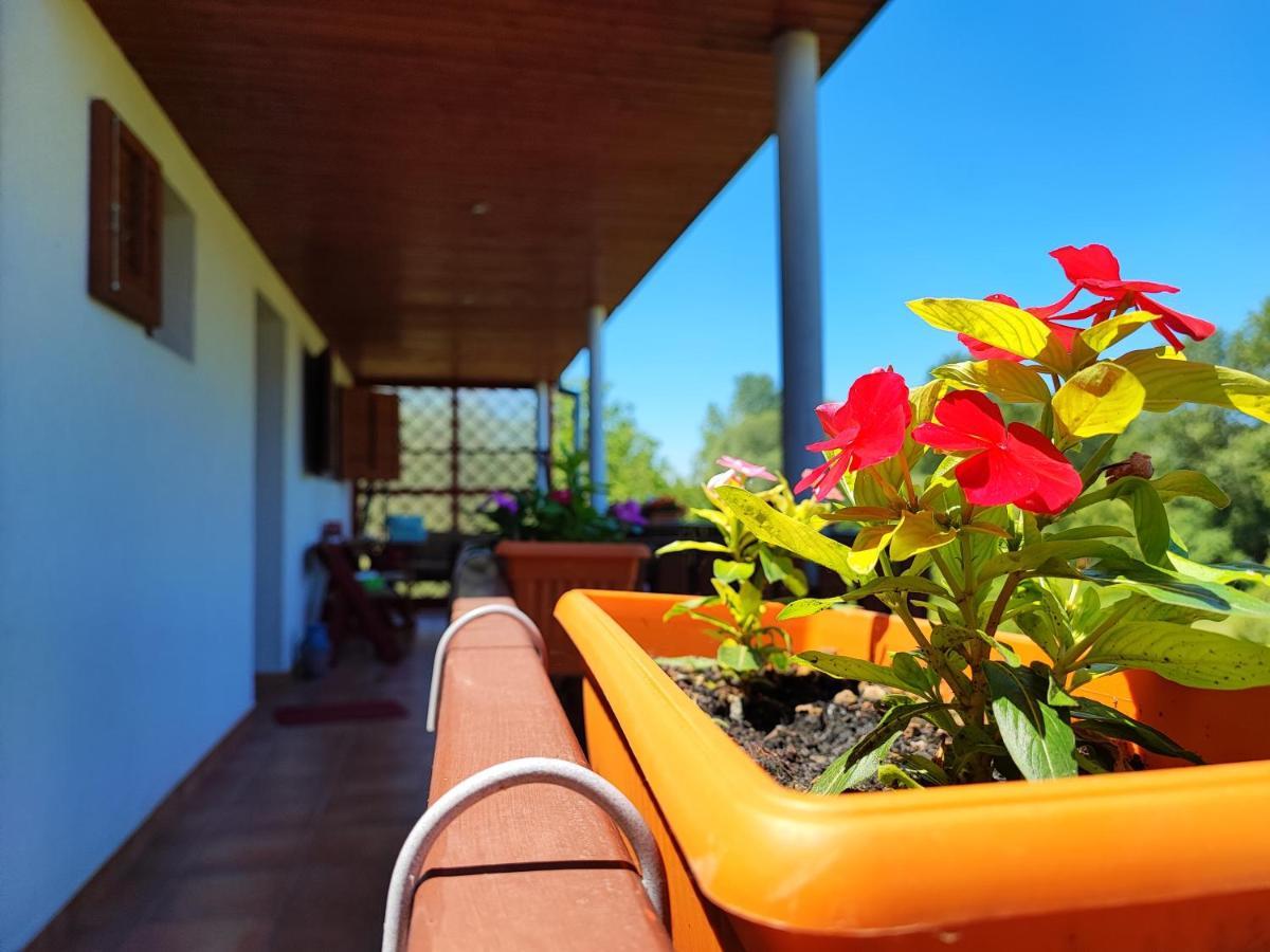 Apartman Dunav Almás Kültér fotó